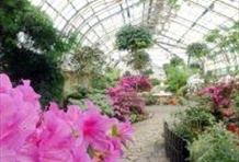 Inside Chicago Grand Tour